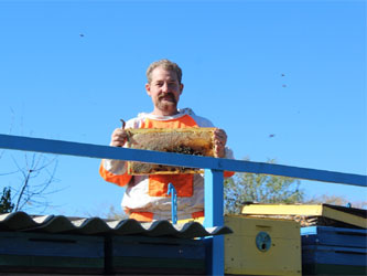 продукт пчеловодства