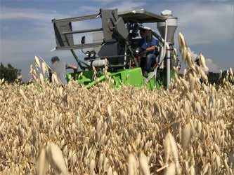 уборка зерновых культур