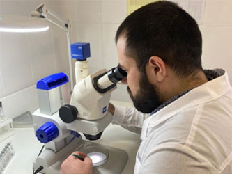 проведение исследований специалистами 