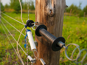 электроизгородь