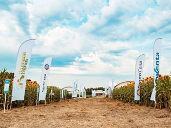 защита растений гербициды