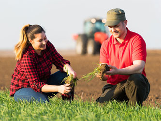 работа в поле