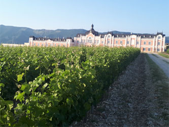 винзавод ООО «Шато де Талю»