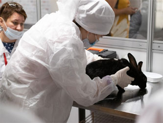 компетенция «Ветеринария»