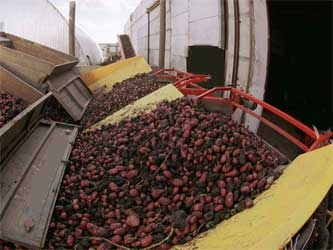 овощехранилище