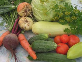 свежие овощи