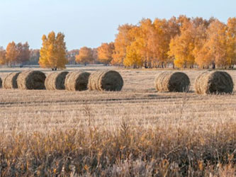 использование сеновязального шпагата в поле