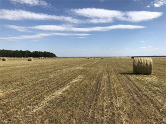 использование сеновязального шпагата