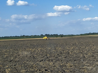 сев озимых культур