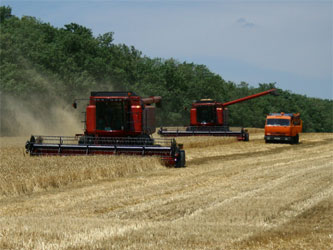 уборка урожая зерна