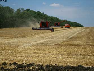 уборка урожая зерна