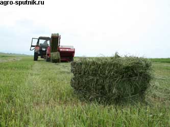 заготовка кормов